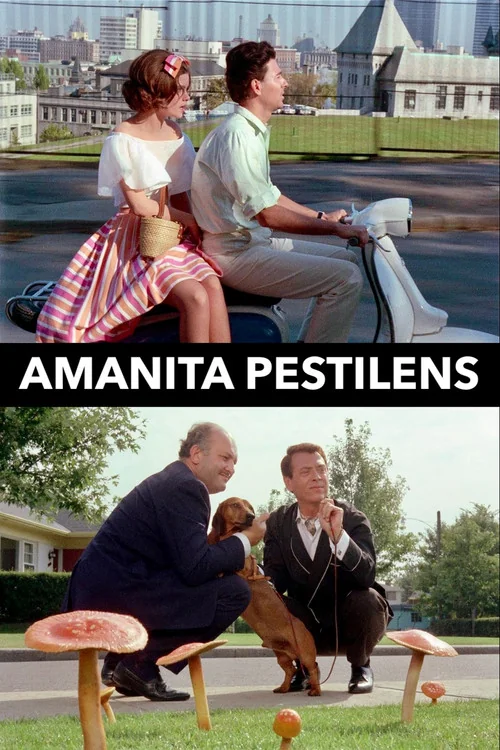 Affiche de Amanita Pestilens (1964)