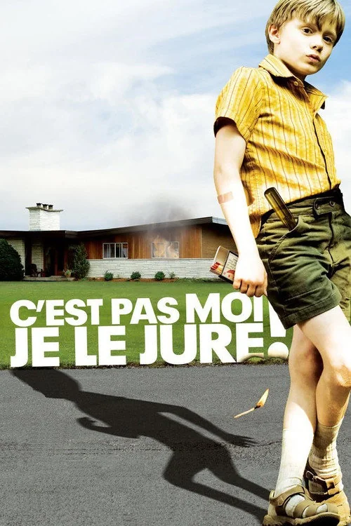 Affiche de C'est pas moi, je le jure! (2008)