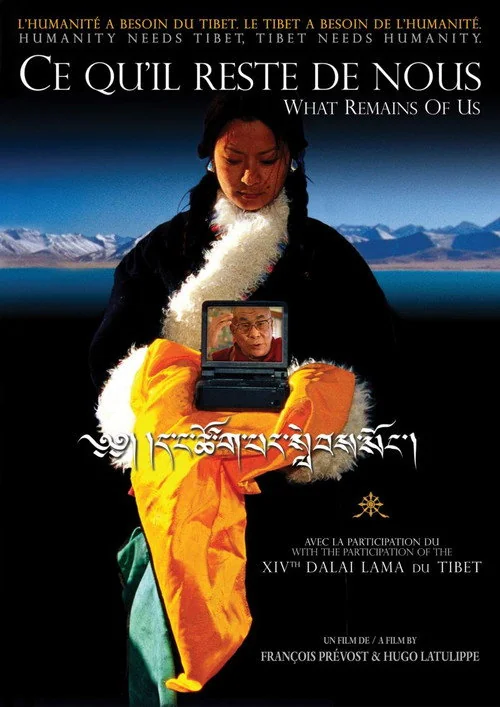 Affiche de Ce qu’il reste de nous (2004)