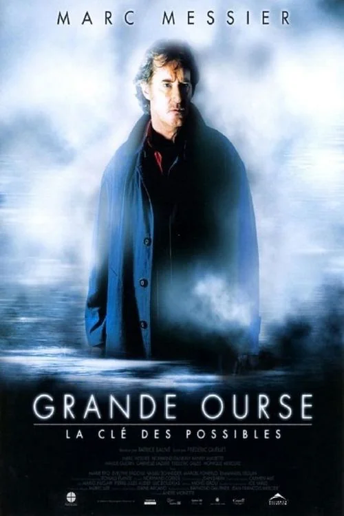 Affiche de Grande ourse : La clé des possibles (2009)