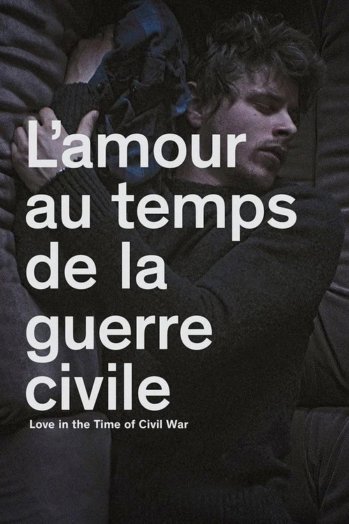 Affiche de L'amour au temps de la guerre civile (2014)