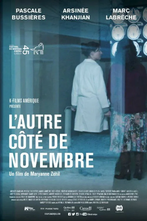 Affiche de L'Autre côté de novembre (2016)