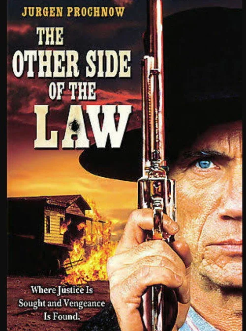 Affiche de The Other Side of the Law (1994)