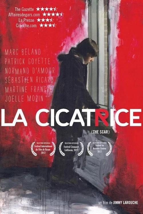 Affiche de La Cicatrice (2013)