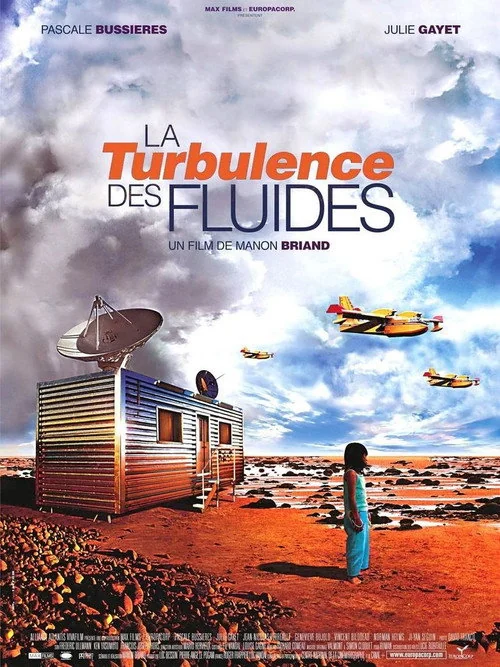 Affiche de La turbulence des fluides (2002)