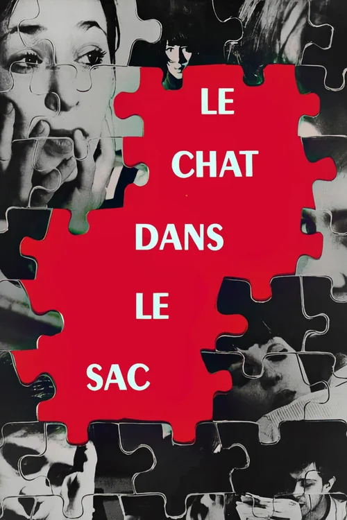 Affiche de Le chat dans le sac (1964)