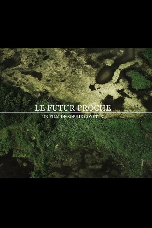 Affiche de Le futur proche (2012)