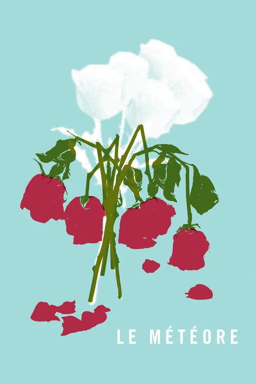 Affiche de Le météore (2013)