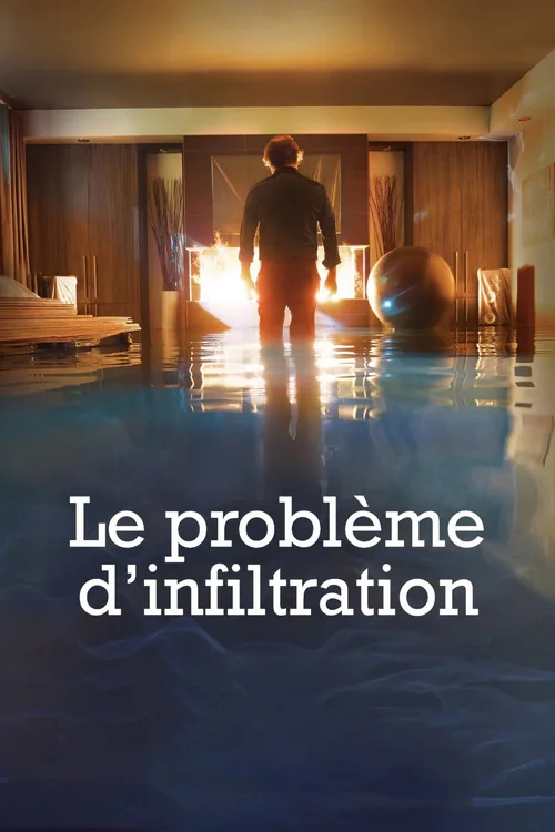 Affiche de Le problème d'infiltration (2017)
