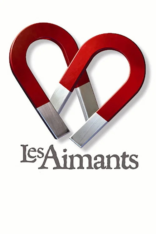 Affiche de Les aimants (2004)