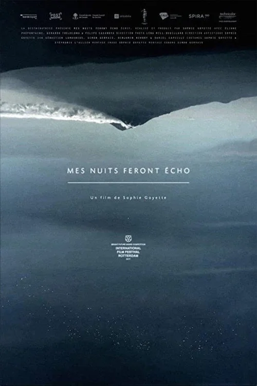 Affiche de Mes nuits feront écho (2016)