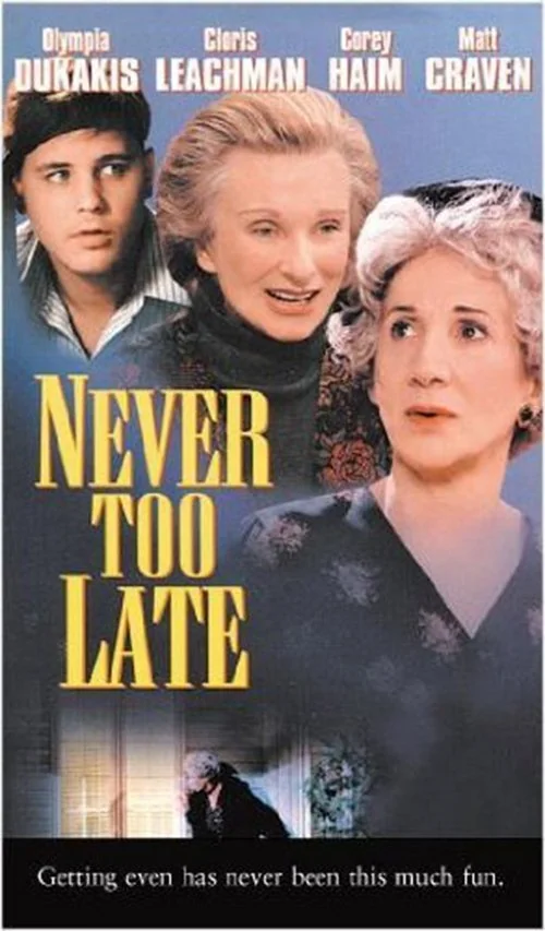 Affiche de Never Too Late (1996)