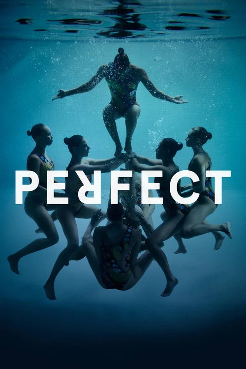 Affiche de Perfect (2016)