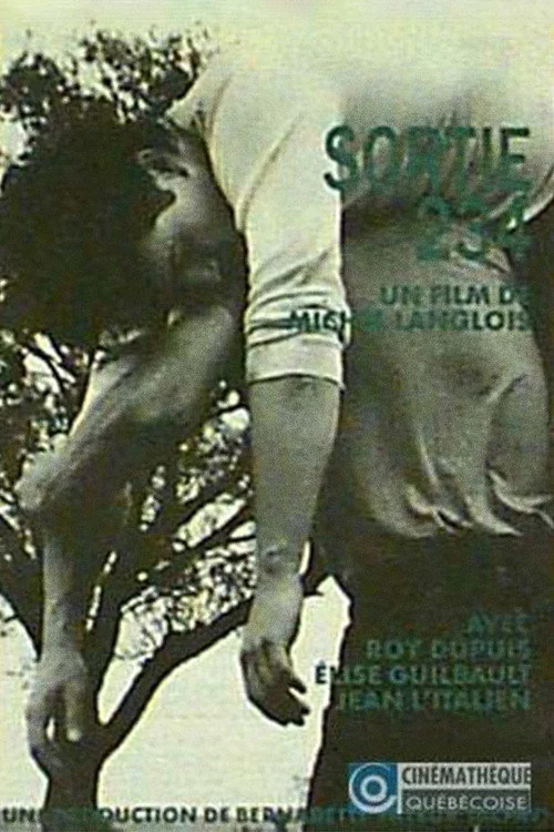 Affiche de Sortie 234 (1988)
