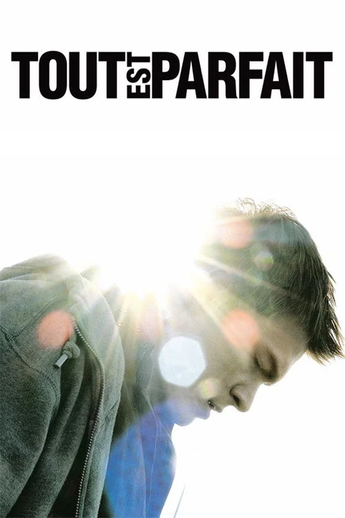 Affiche de Tout est parfait (2008)