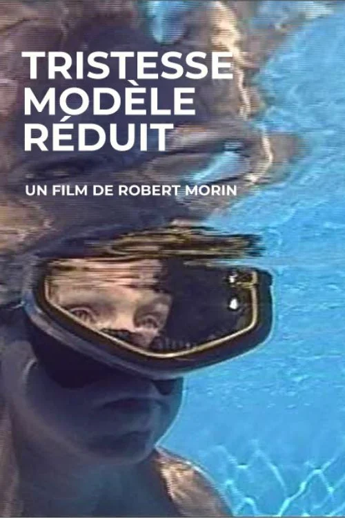 Affiche de Tristesse modèle réduit (1987)