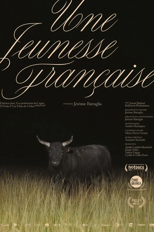 Affiche de A French Youth (2023)