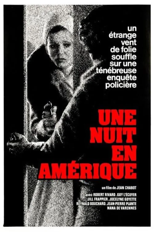 Affiche de Une Nuit en Amérique (1975)
