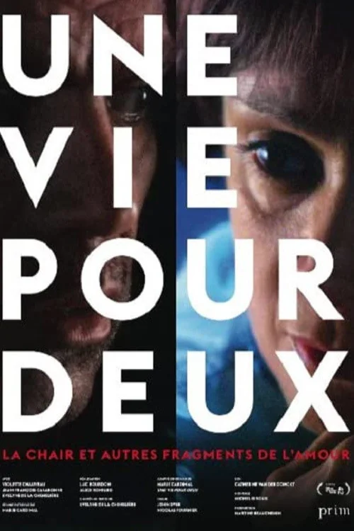 Affiche de Une vie pour deux (2013)