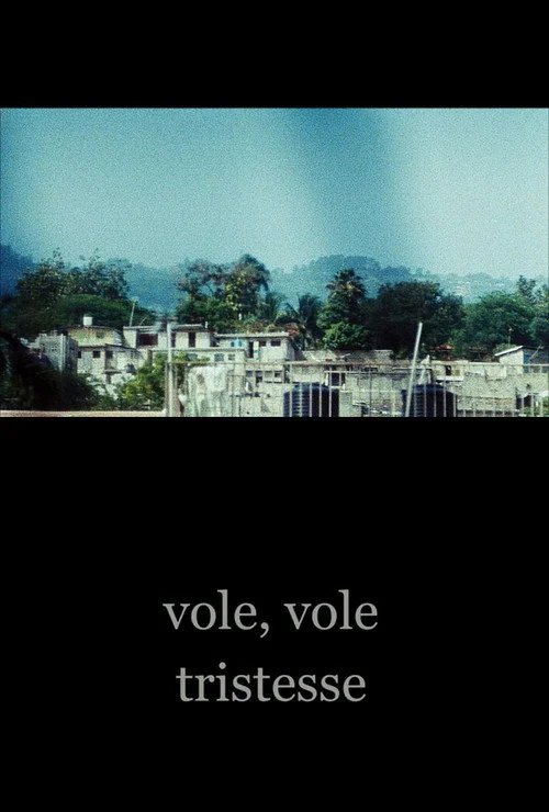 Affiche de Vole, vole tristesse (2015)